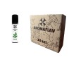 10 ks. Aromaflav MIX 40ml Cactus